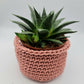 Crochet Plant Pot Holder