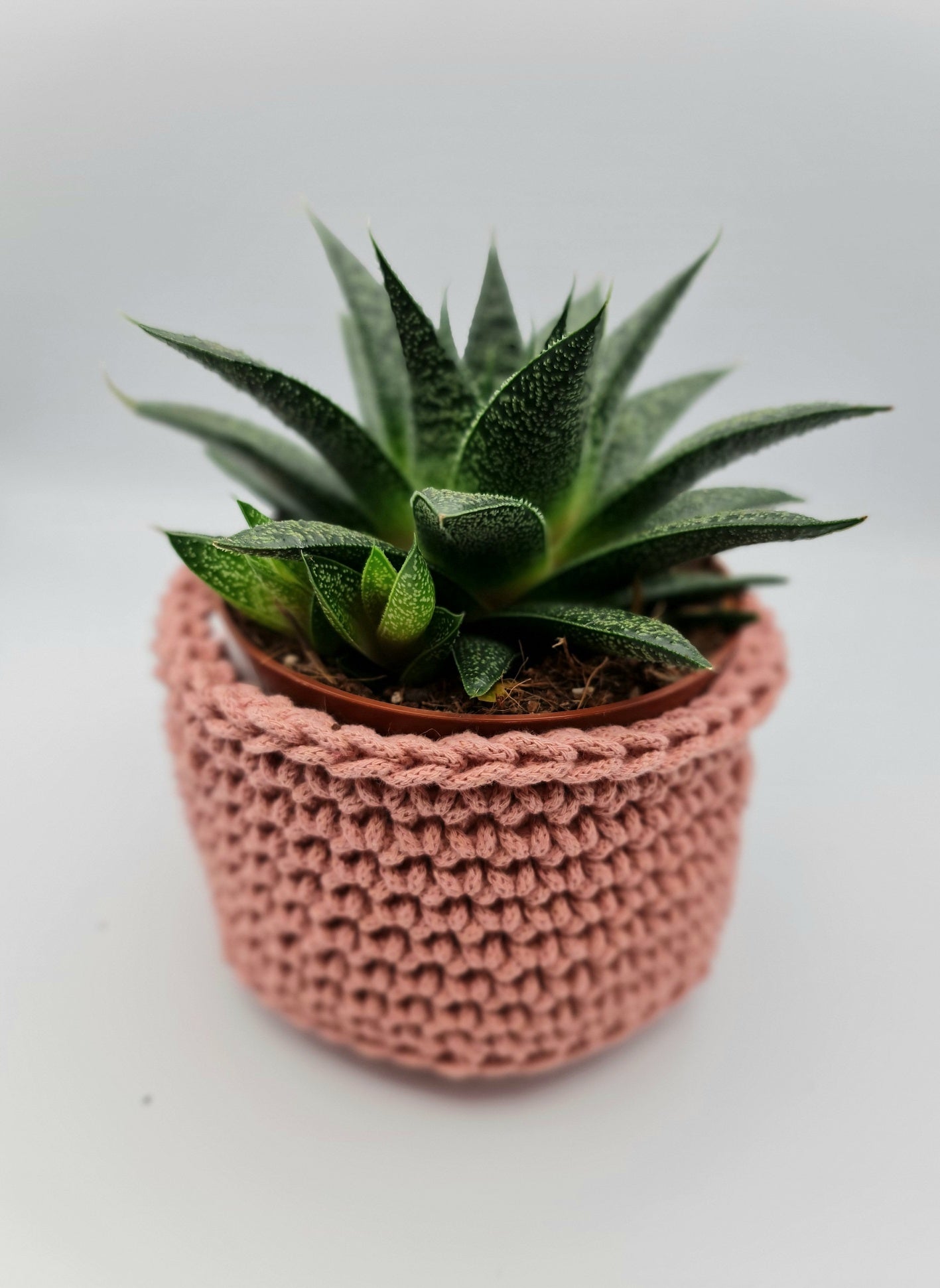 Crochet Plant Pot Holder