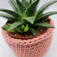 Crochet Plant Pot Holder | Jacqueline Hall