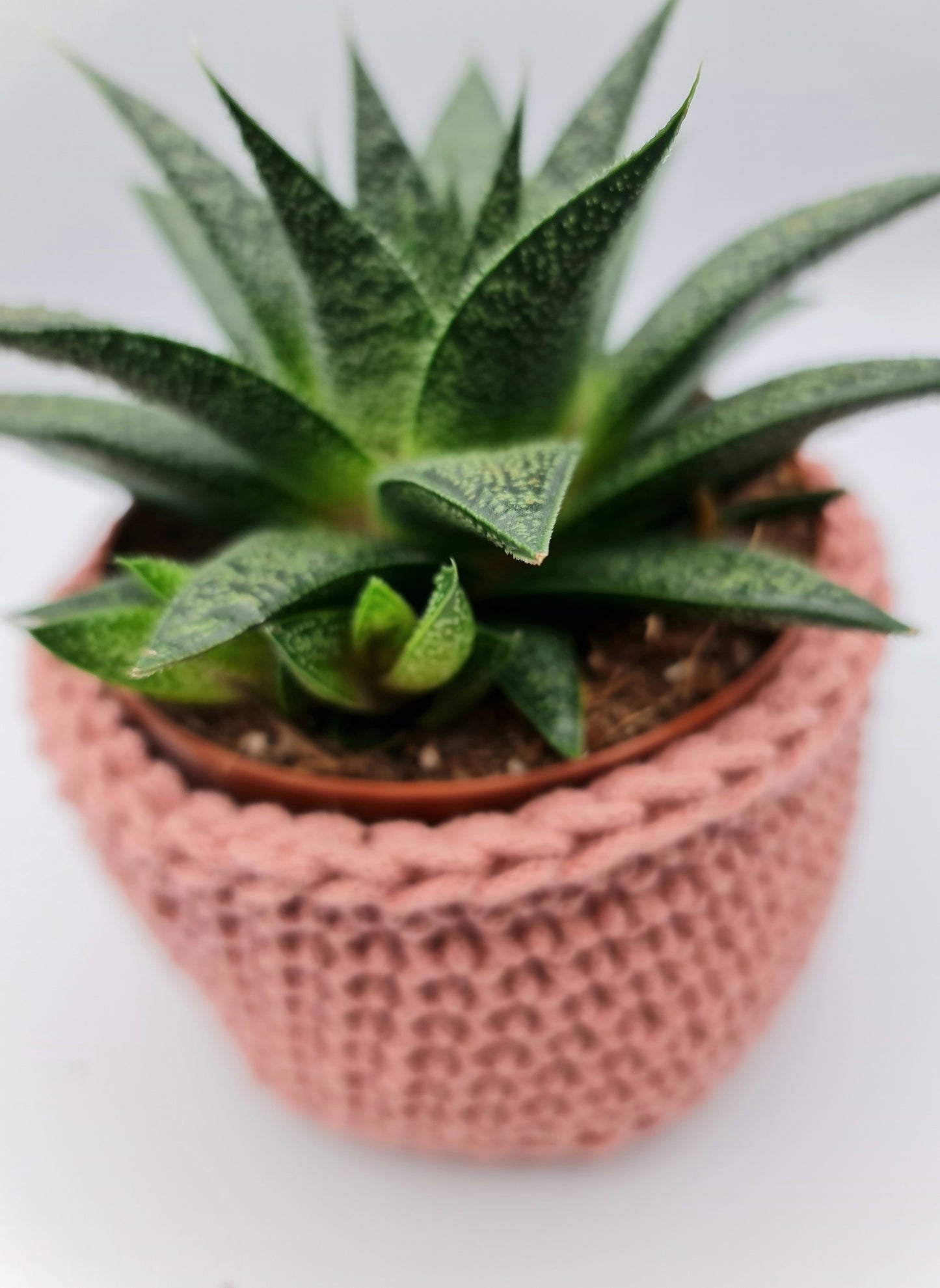 Crochet Plant Pot Holder | Jacqueline Hall