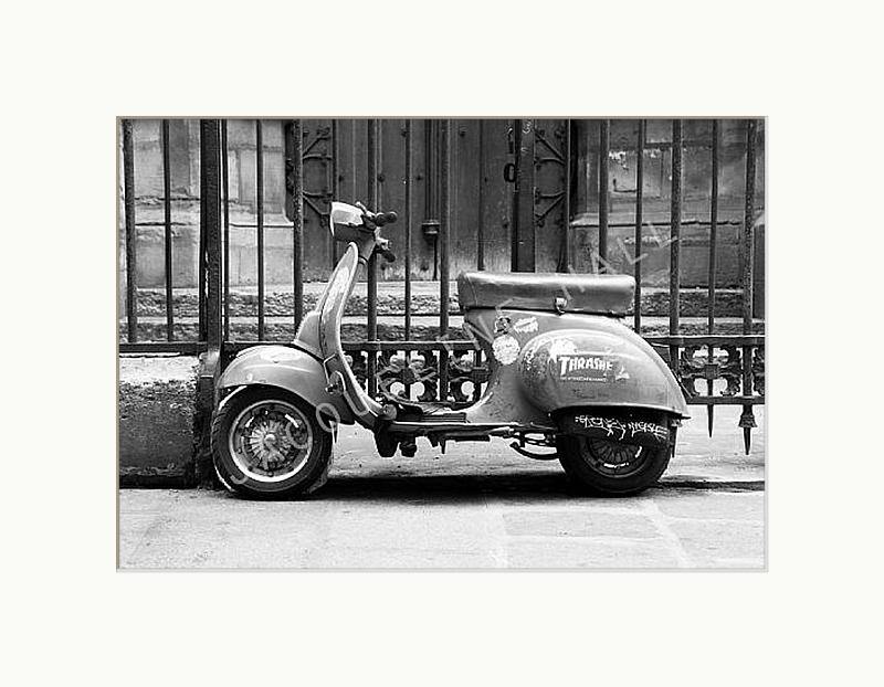 Vespa - Jacqueline Hall 