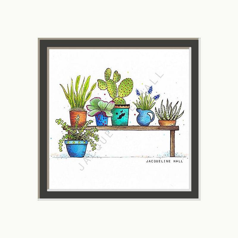 Cacti & Bluebells | Jacqueline Hall