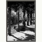 Black and white photograph of the shadows created by a pergola covered in shrubs in Montmartre, Paris. Shown in a white mount