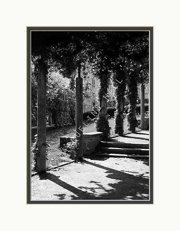 Black and white photograph of the shadows created by a pergola covered in shrubs in Montmartre, Paris. Shown in a white mount