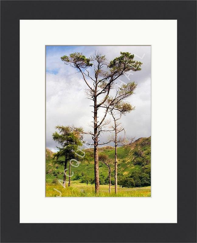 Blea Tarn, Little Langdale | Jacqueline Hall