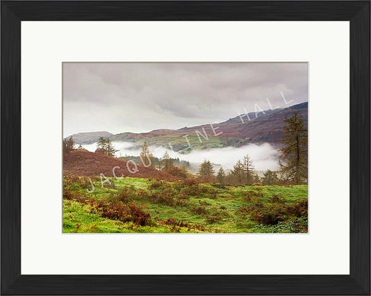 Tarn Howes, Lake District | Jacqueline Hall