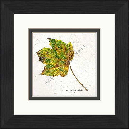 Autumnal Leaf | Jacqueline Hall