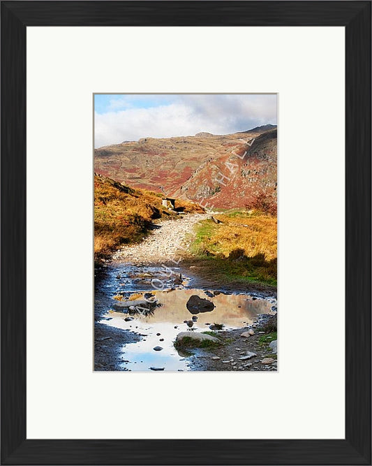 Upper Fells, Little Langdale, Lake District | Jacqueline Hall