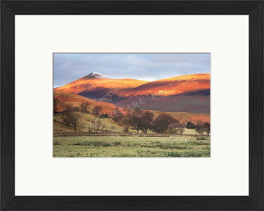 Blencathra | Jacqueline Hall